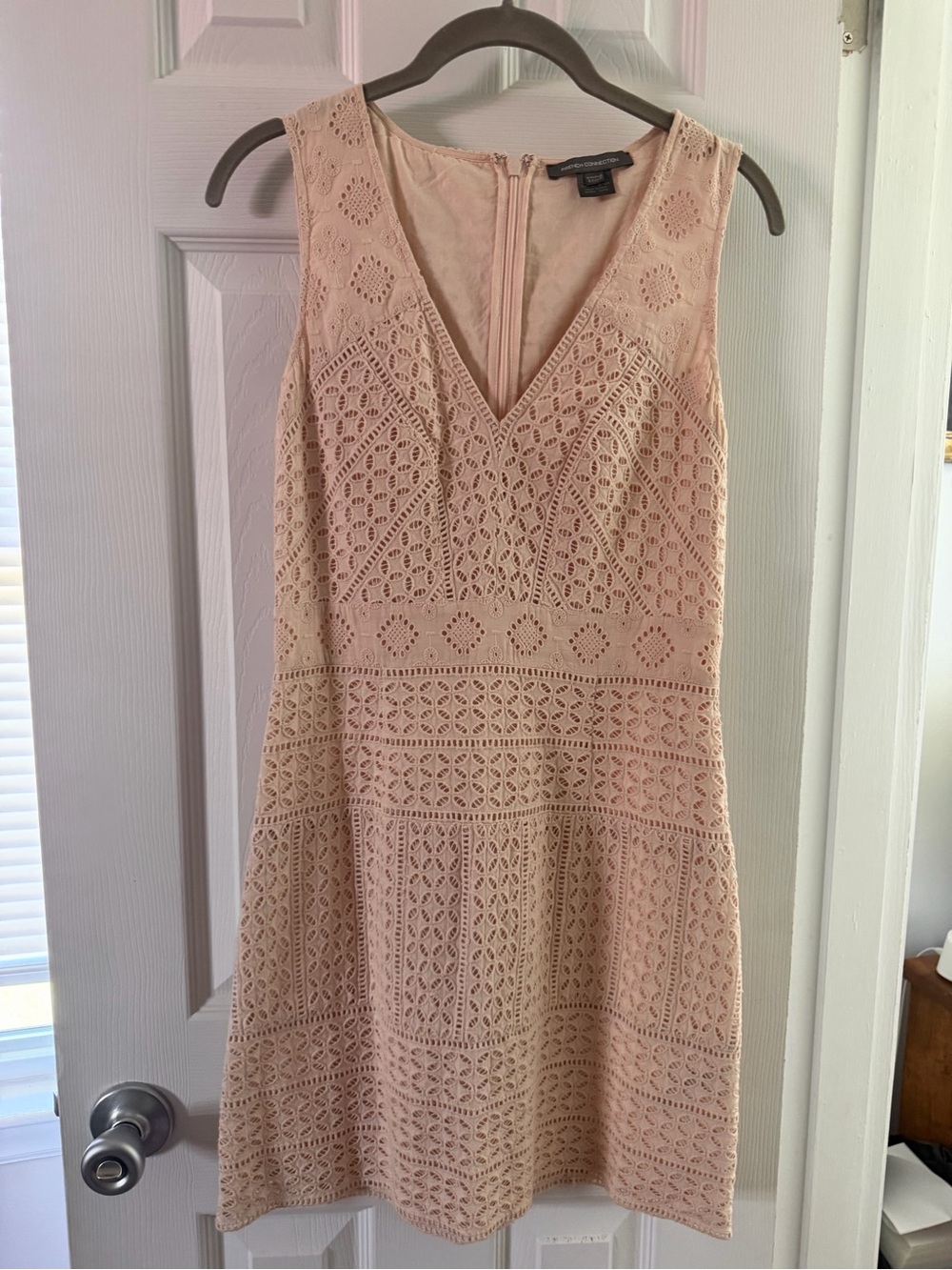 French Connection Blush Lace V-Neck Mini Dress